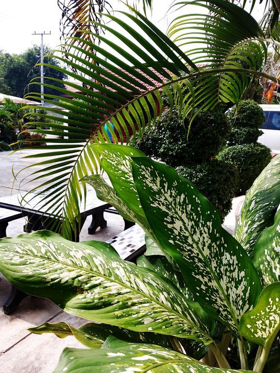 Phonepraseuth Guesthouse Luang Prabang Zewnętrze zdjęcie