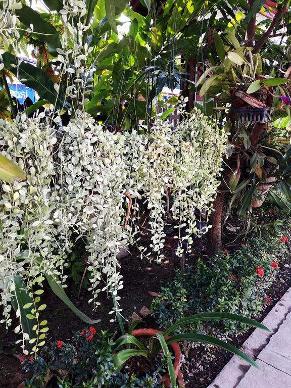 Phonepraseuth Guesthouse Luang Prabang Zewnętrze zdjęcie