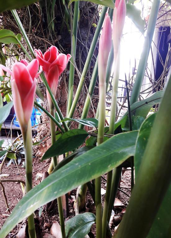 Phonepraseuth Guesthouse Luang Prabang Zewnętrze zdjęcie